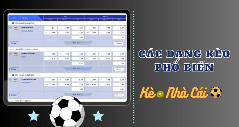 Cách Đọc Tỷ Lệ Kèo Nhà Cái